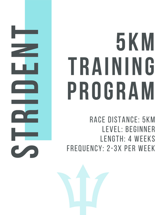 4 Week Training Plan (5km, Beginner, 2-3x Per Week)